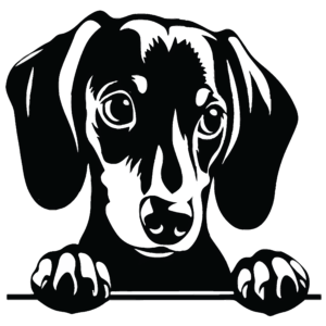 Sticker Câine