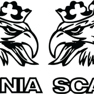 sticker set Scania